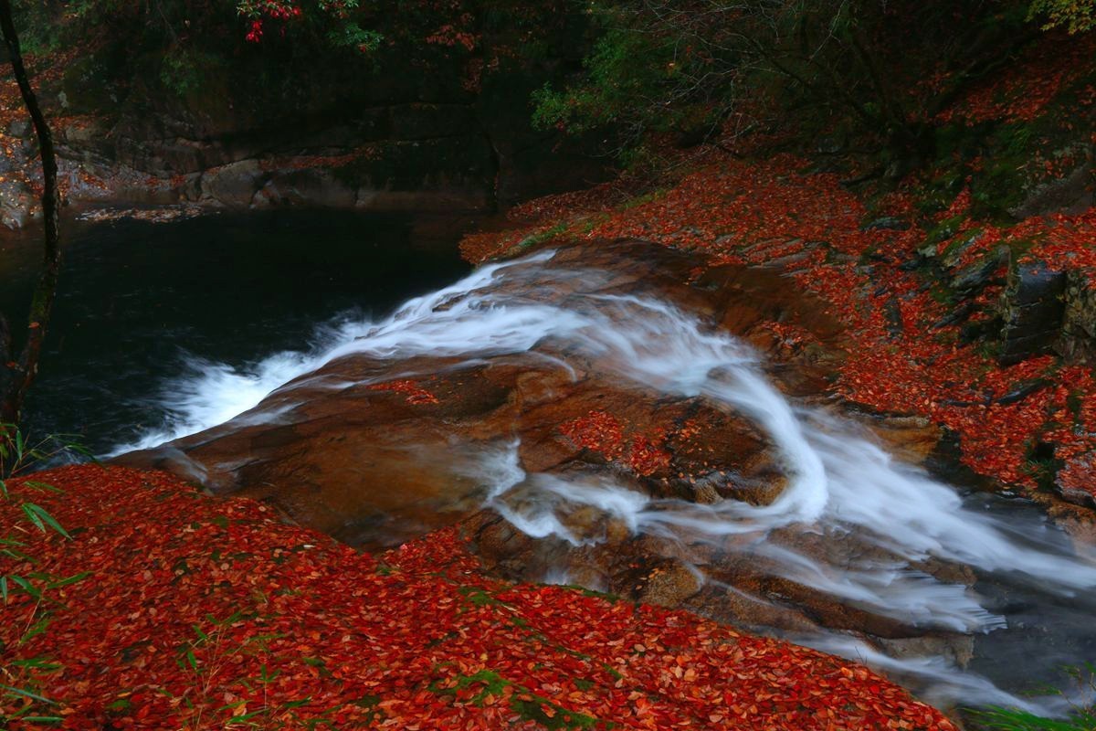 《 十 八 月 潭 》掠 影