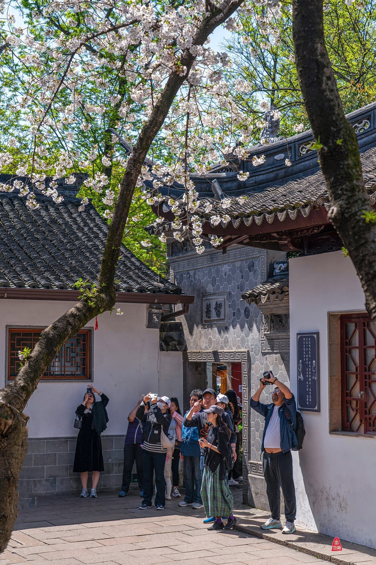 枫桥景区（三）寒山寺普明宝塔