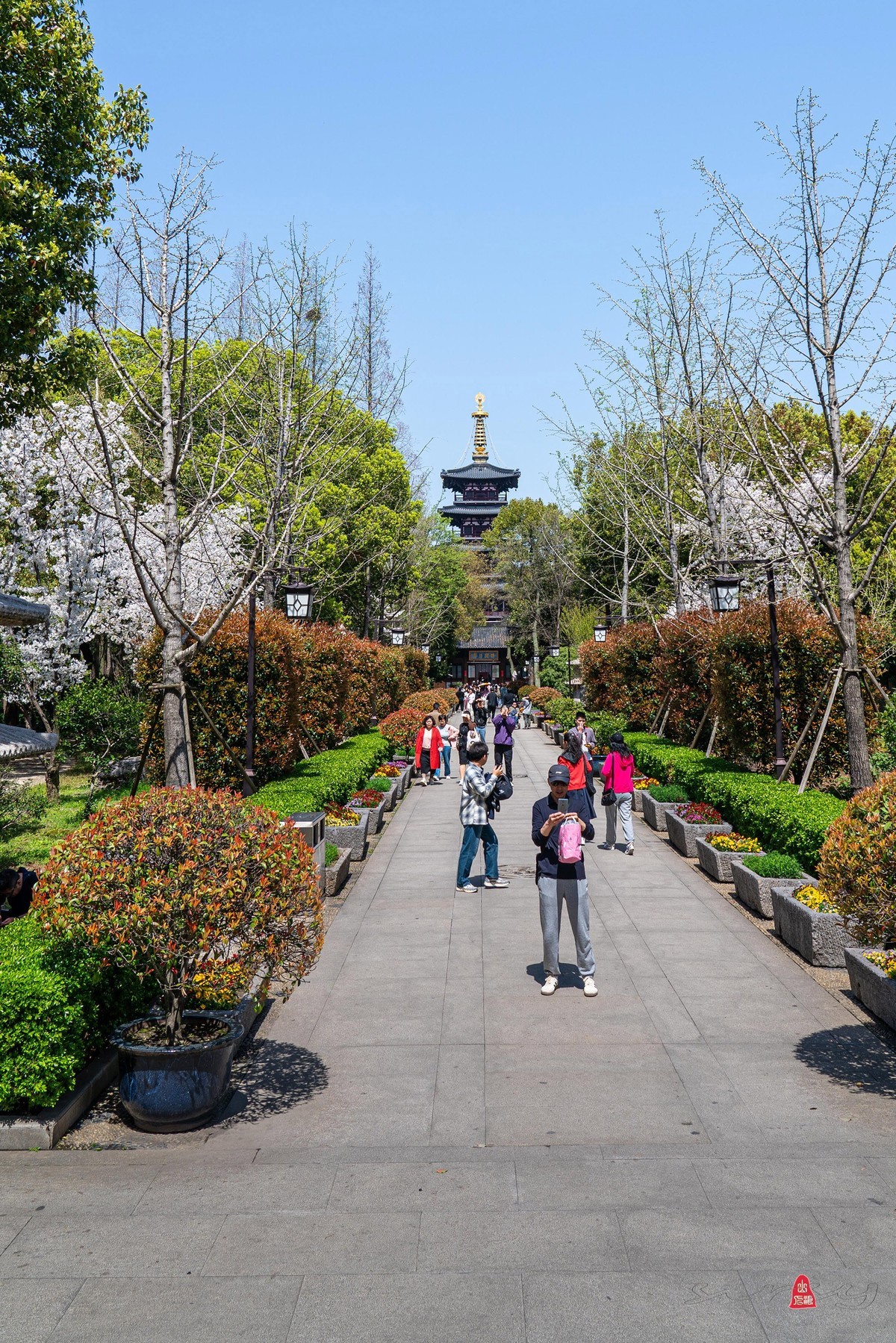 枫桥景区（三）寒山寺普明宝塔