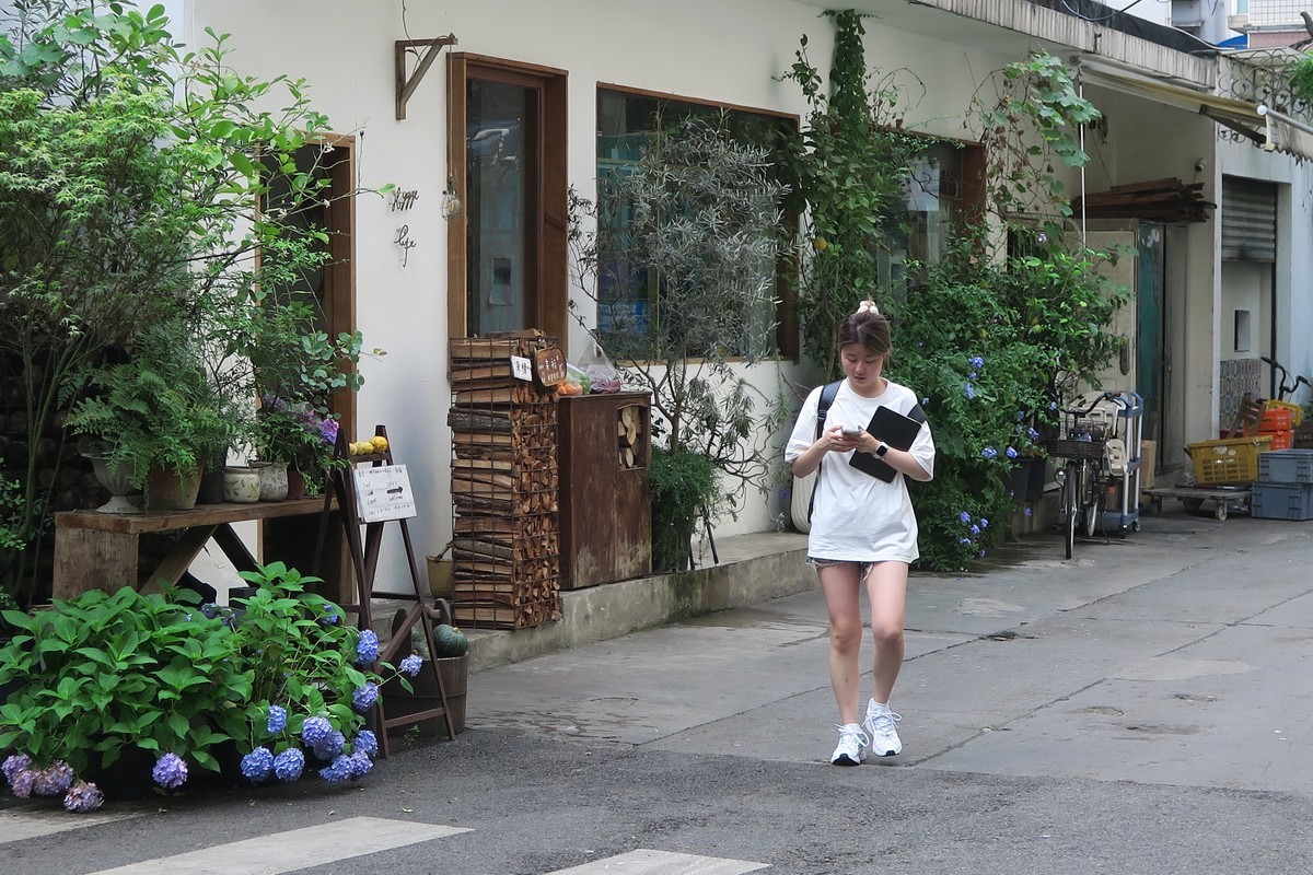 这儿茶房街上静悄悄