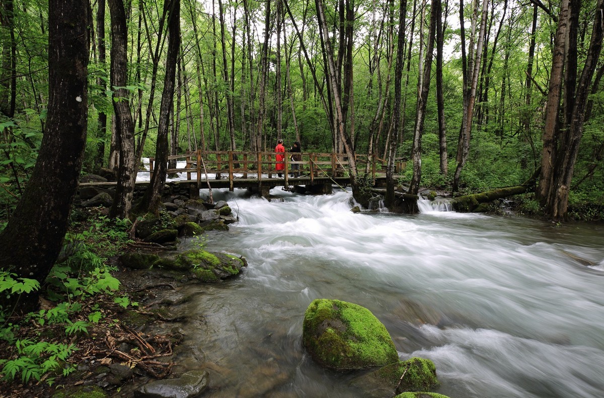 自驾松坪沟--那水.那树