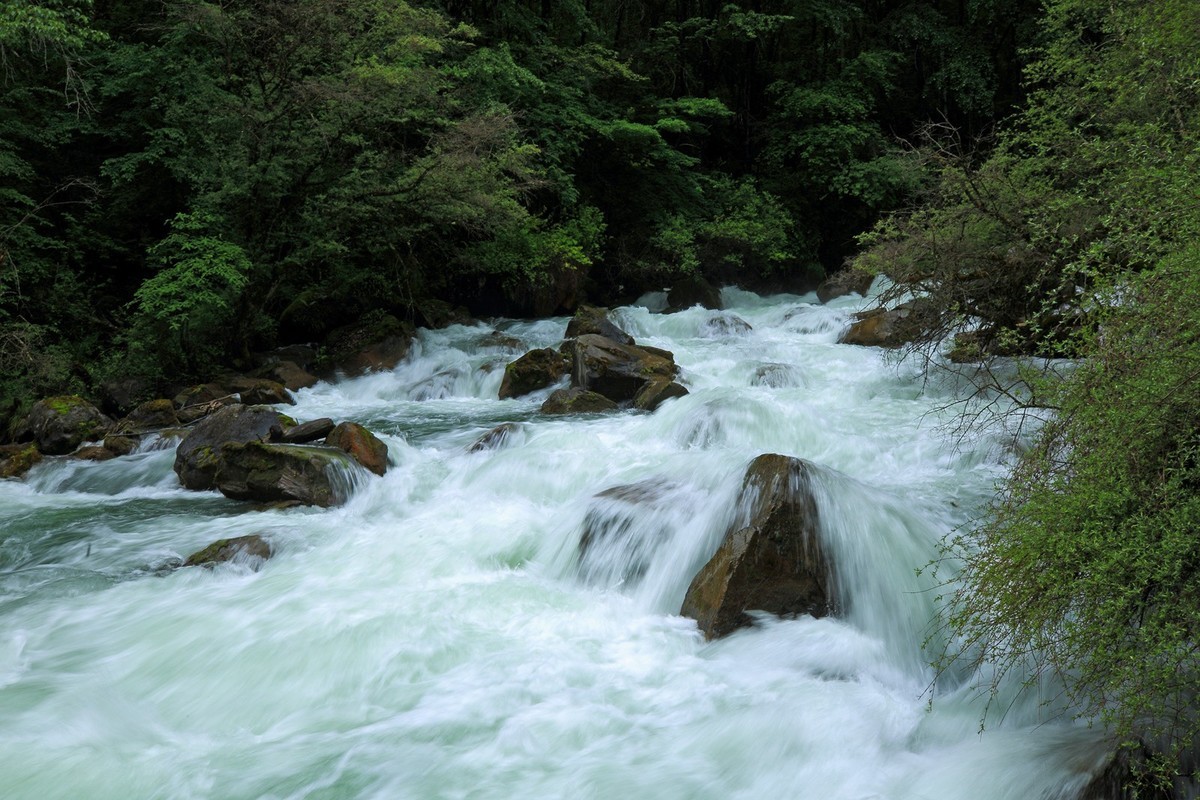 自驾松坪沟--那水.那树