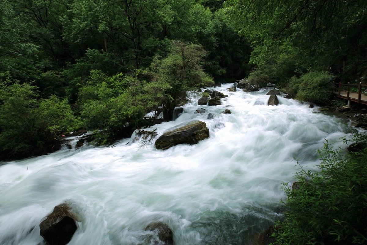 自驾松坪沟--那水.那树