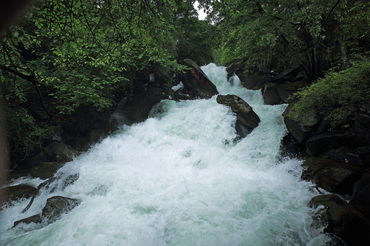 自驾松坪沟--那水.那树