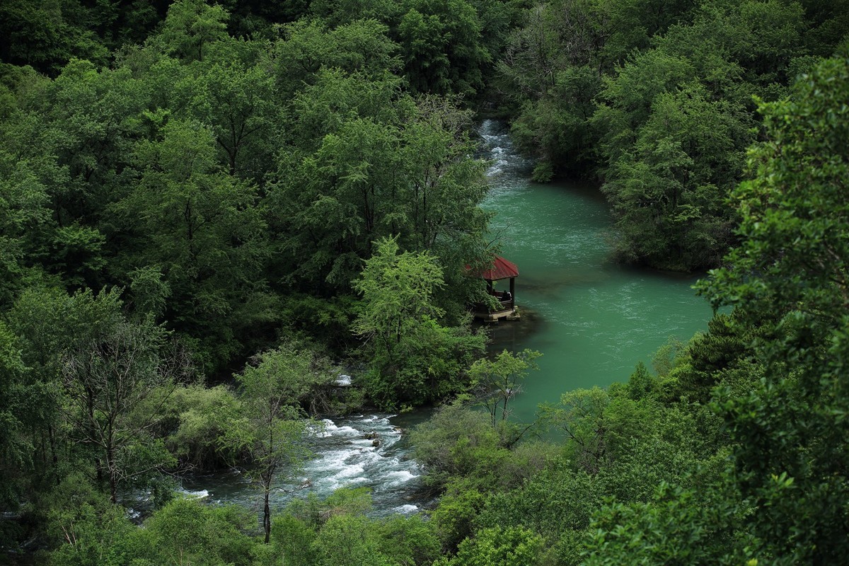 自驾松坪沟--那水.那树