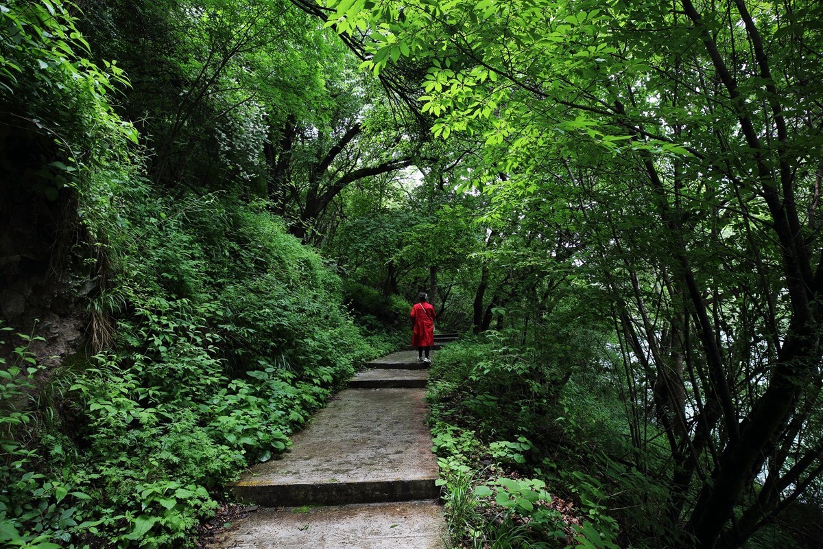自驾松坪沟--那水.那树