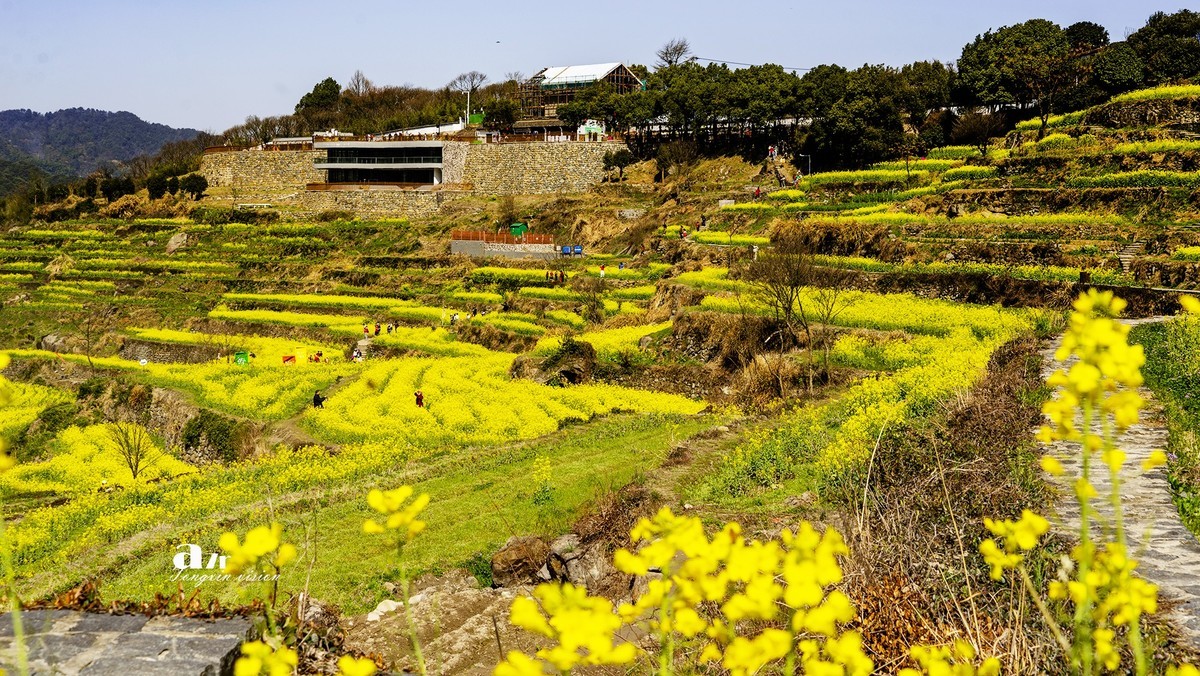 三月下江南——岭南覆卮山油菜花梯田（7）