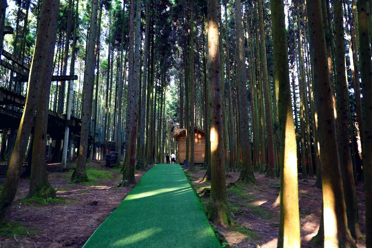 黄水国家森林公园游随拍