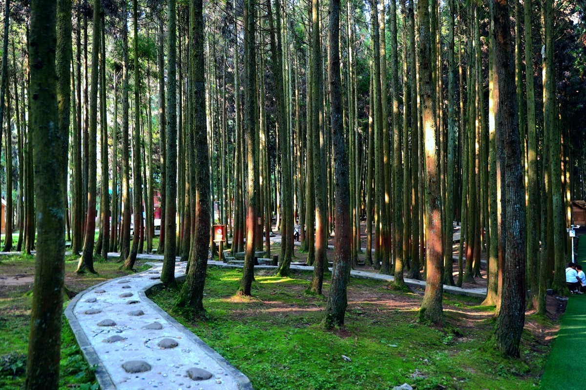 黄水国家森林公园游随拍