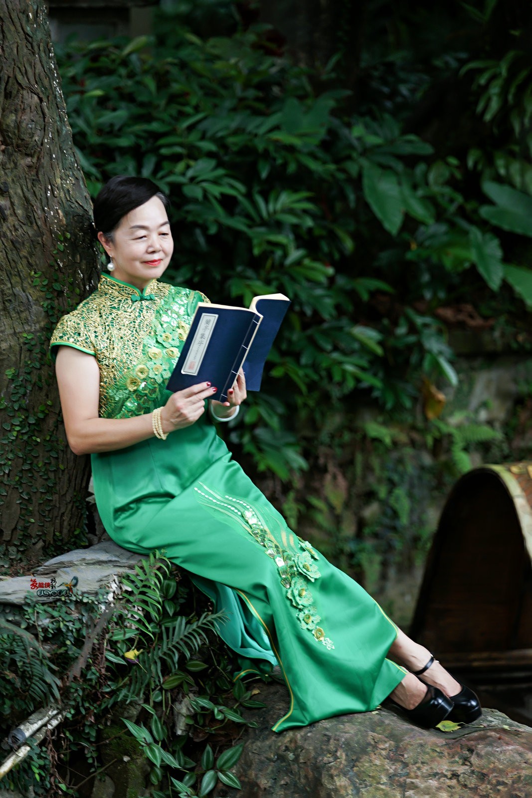 【兰圃一抹绿】---芹芹