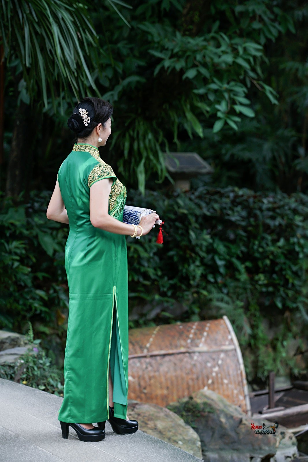 【兰圃一抹绿】---芹芹