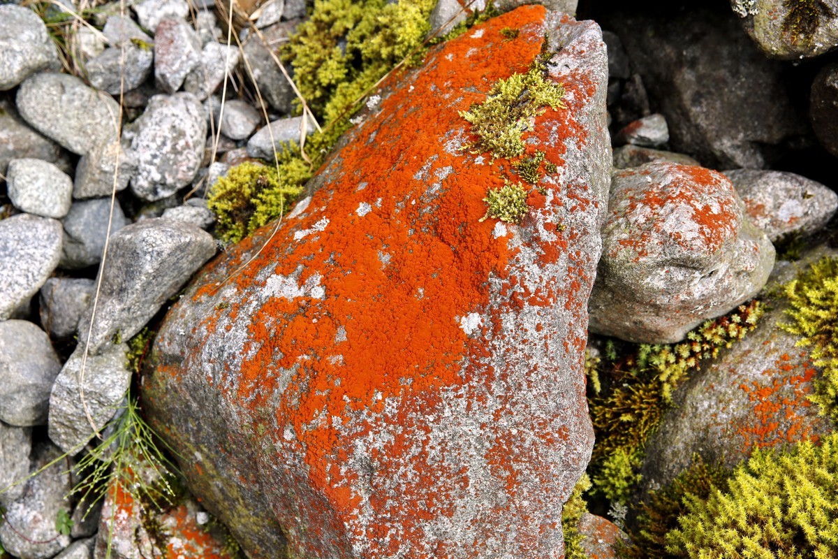 川西特有的景色--红石滩