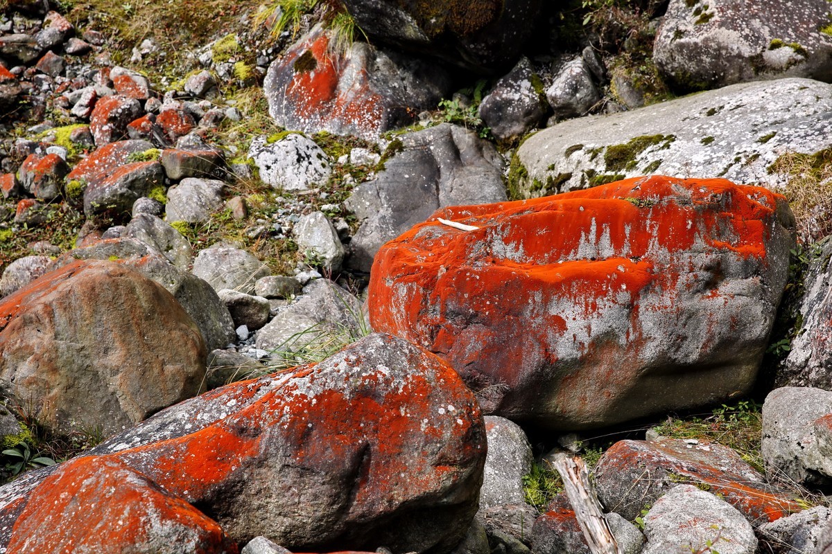 川西特有的景色--红石滩