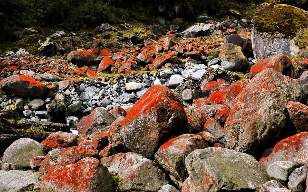 川西特有的景色--红石滩