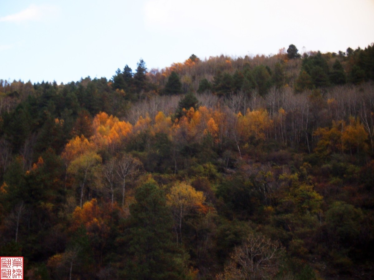 2024八丹路随拍（16）