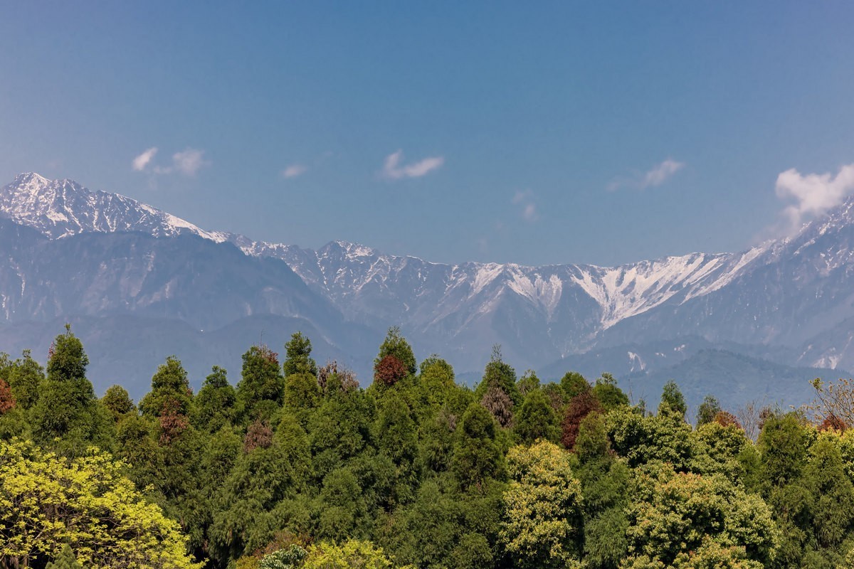 都江堰水利风光