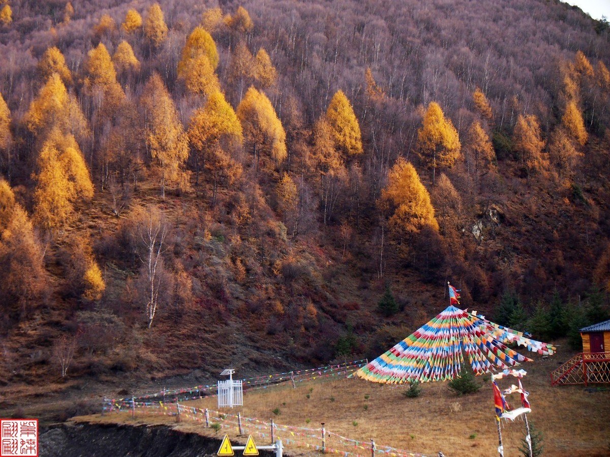 2024.11高原秋色随拍（4）