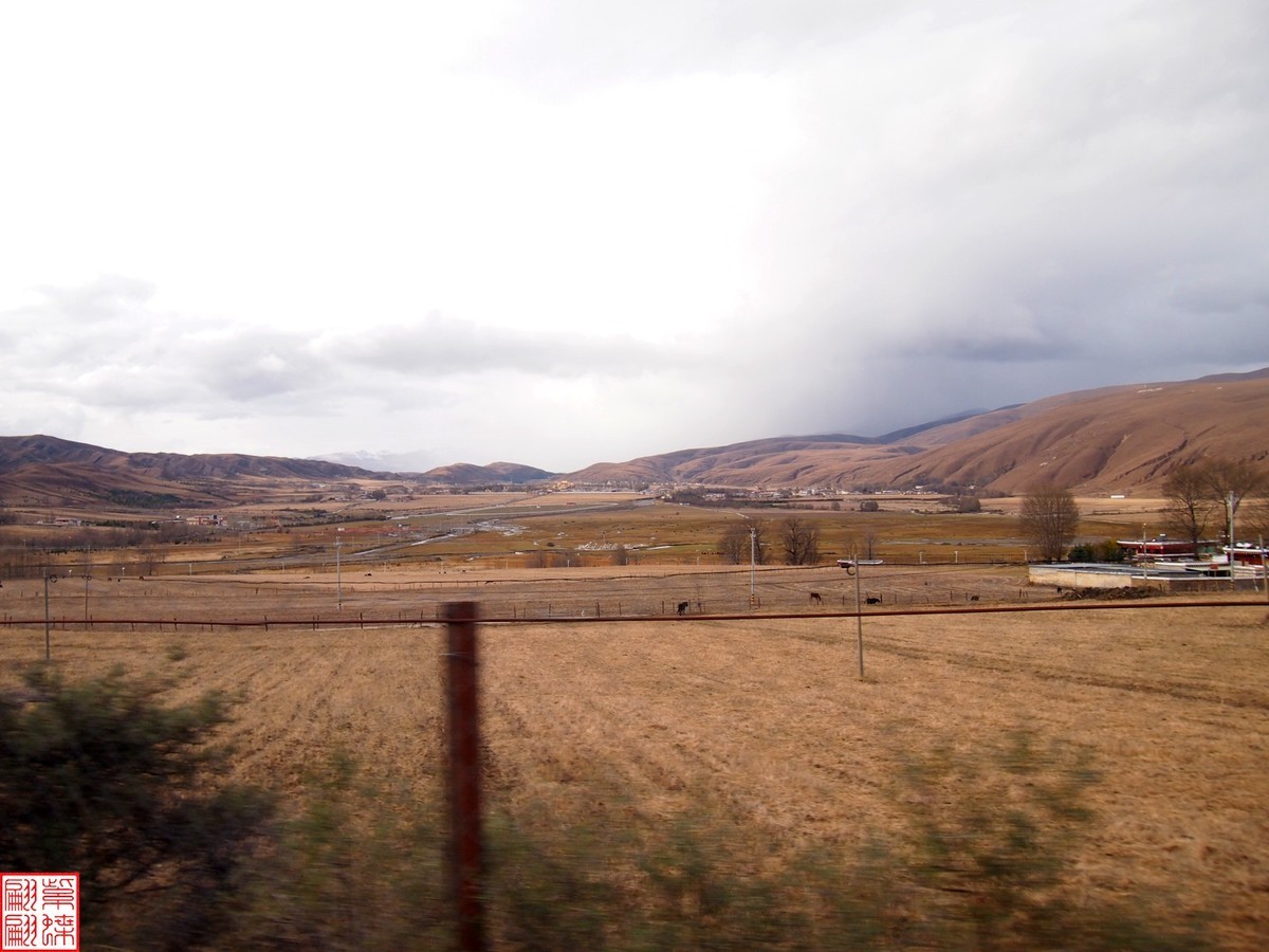 2024.11高原秋色随拍（4）