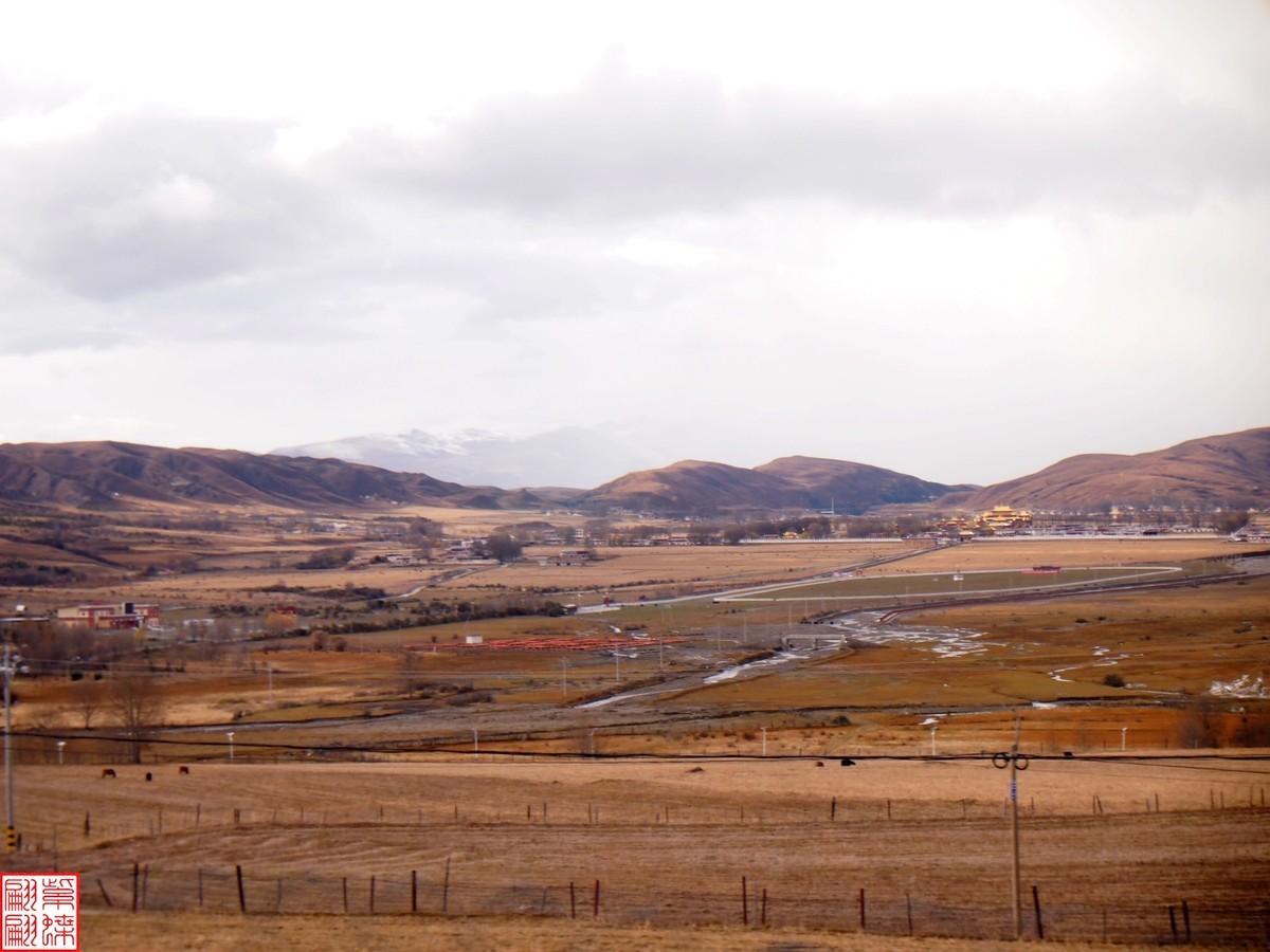 2024.11高原秋色随拍（4）