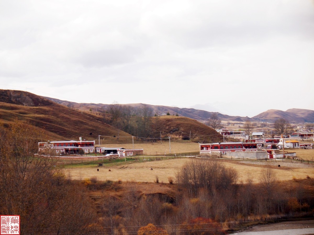 2024.11高原秋色随拍（4）