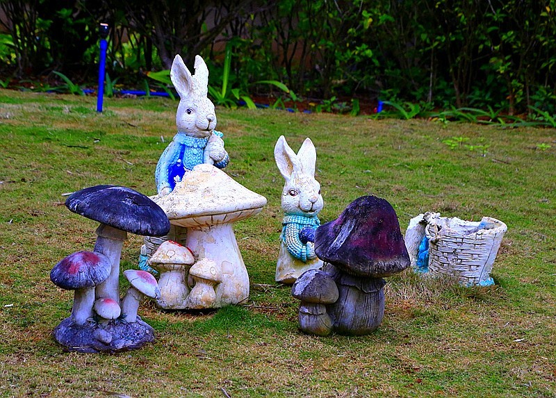 952【不老松：海南游摄纪实】临高长島兰湾美景！(2)美化小区的筛品！