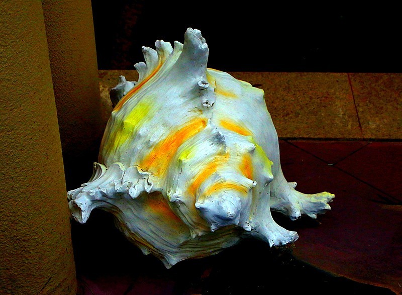 952【不老松：海南游摄纪实】临高长島兰湾美景！(2)美化小区的筛品！