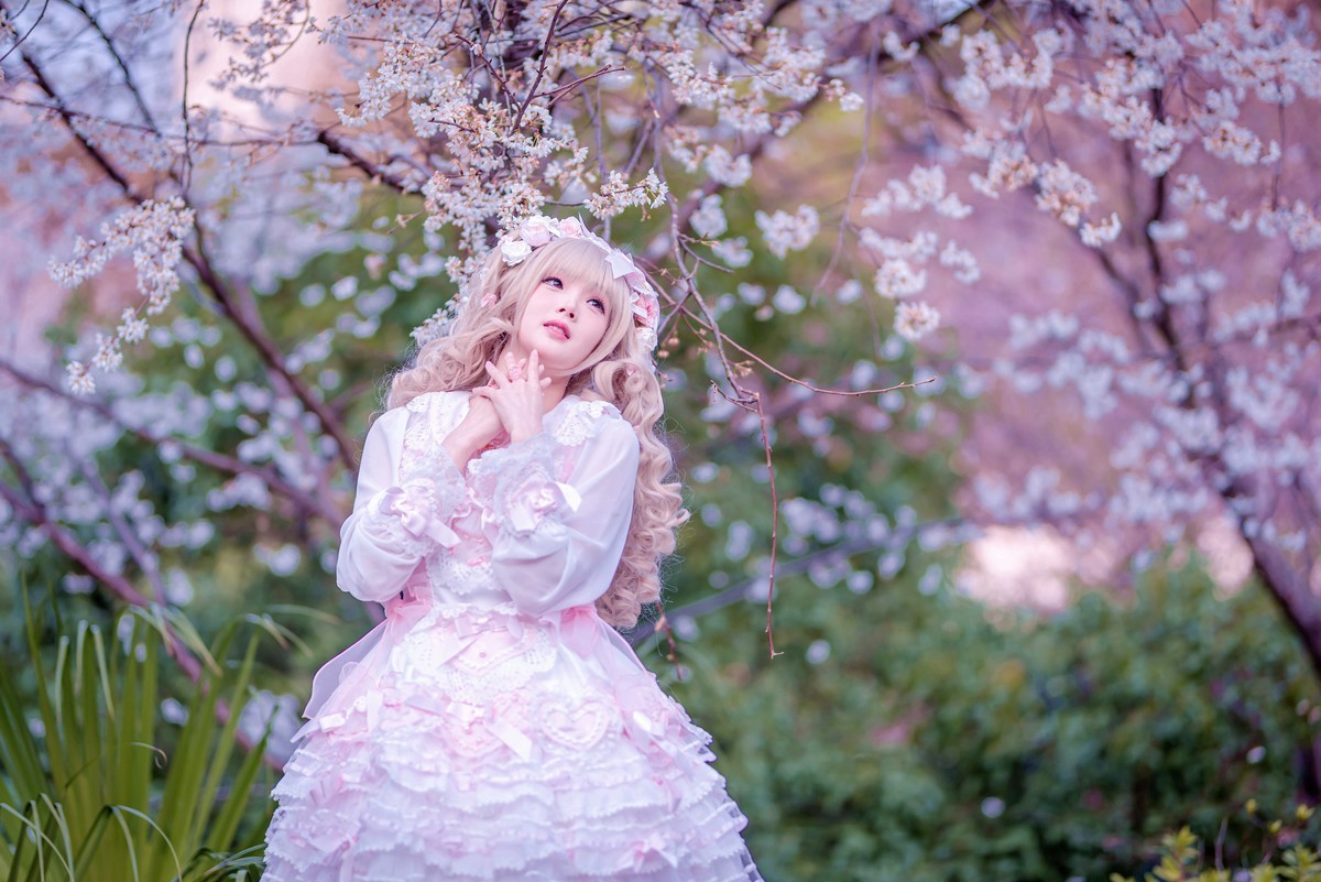 樱花树下的芭比娃娃——2023首帖