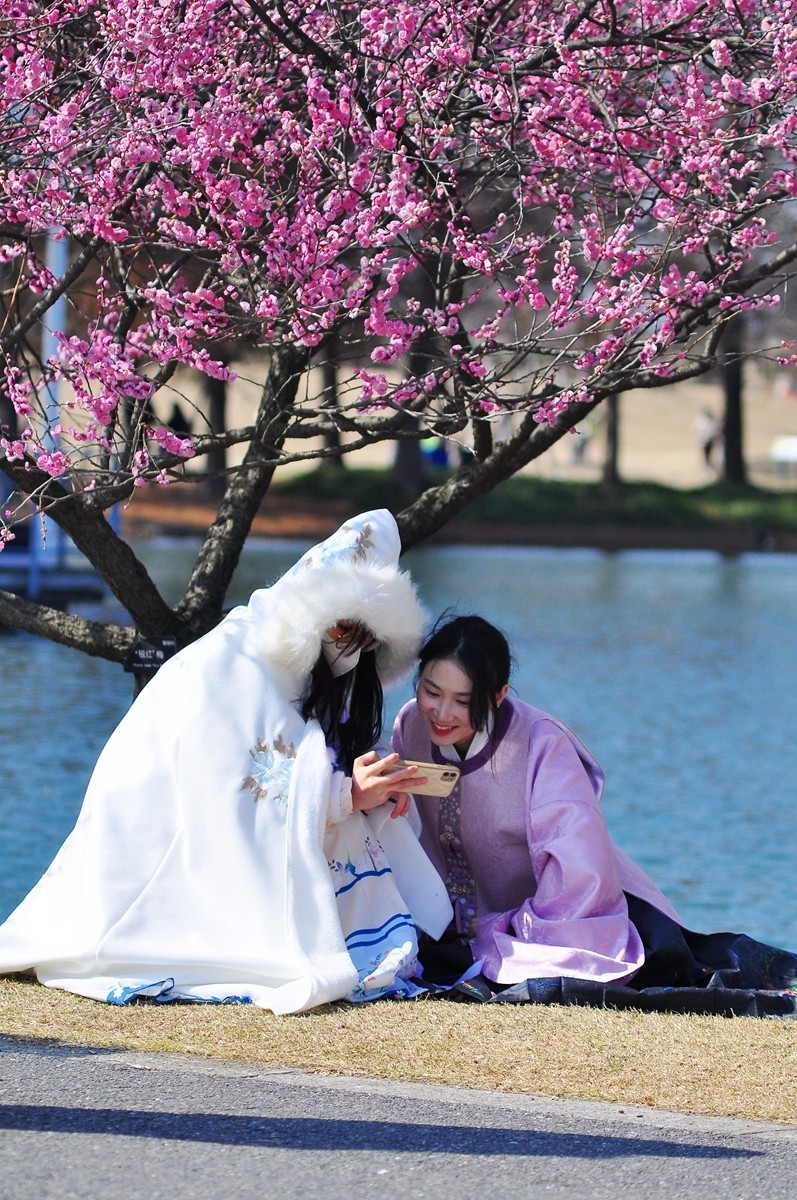 《D90+小小黑直出片》