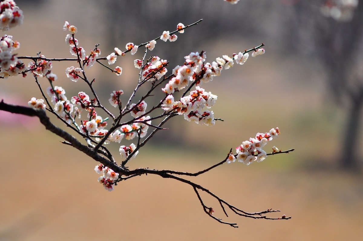 《D90+小小黑直出片》