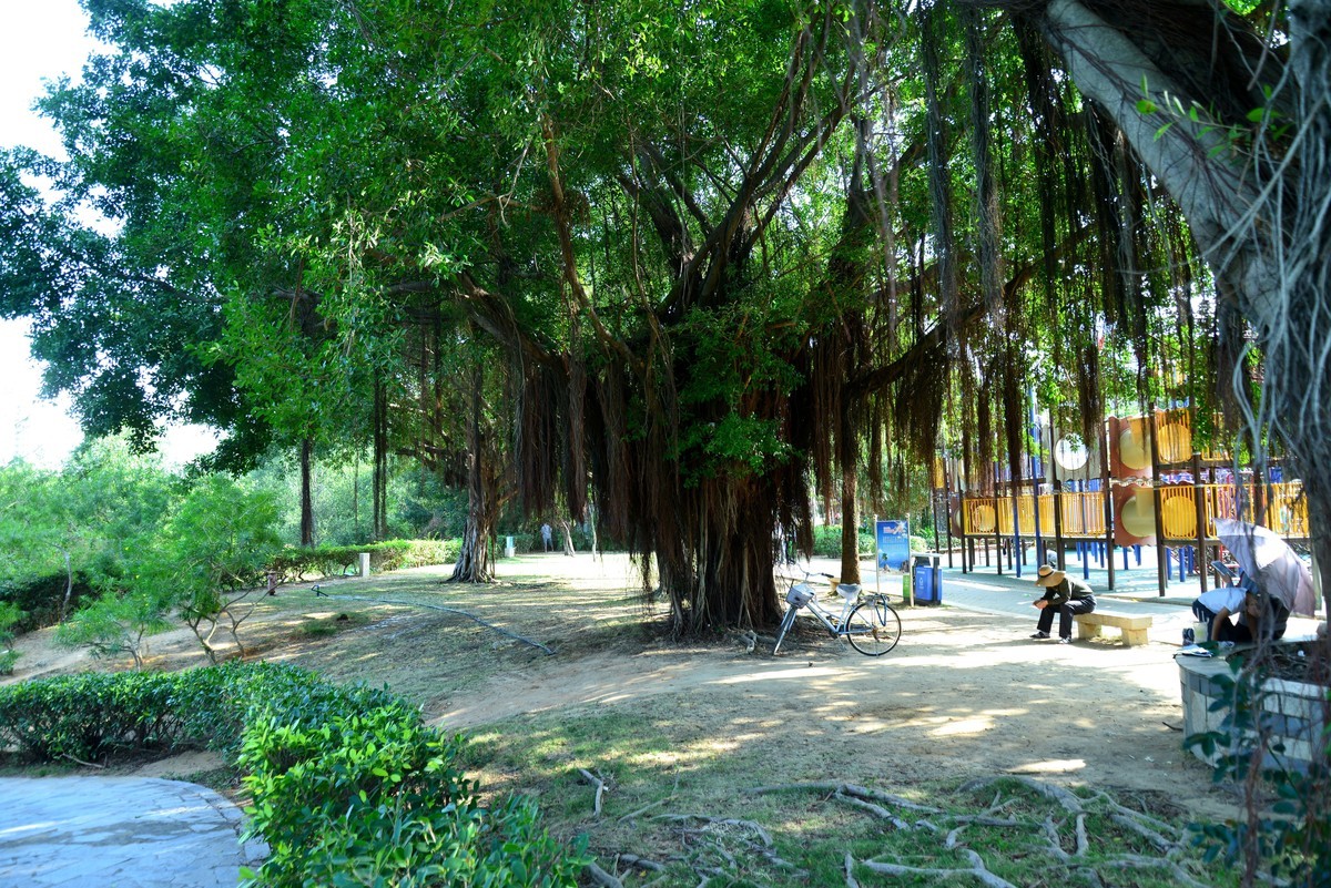 三亚——三亚河畔