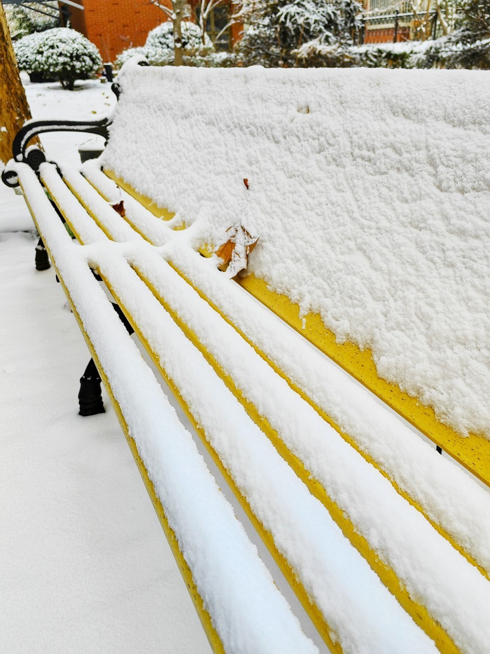 2023北京入冬第一场雪