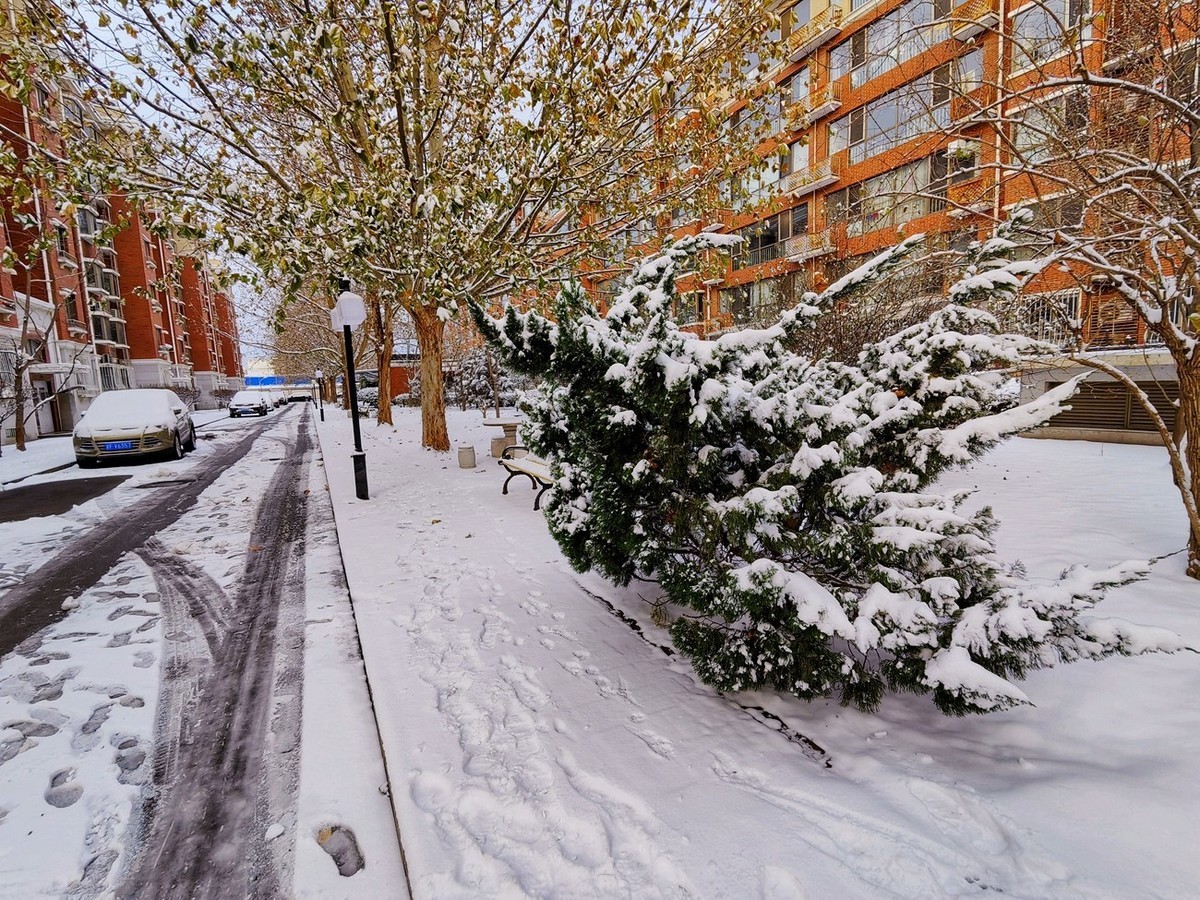 2023北京入冬第一场雪