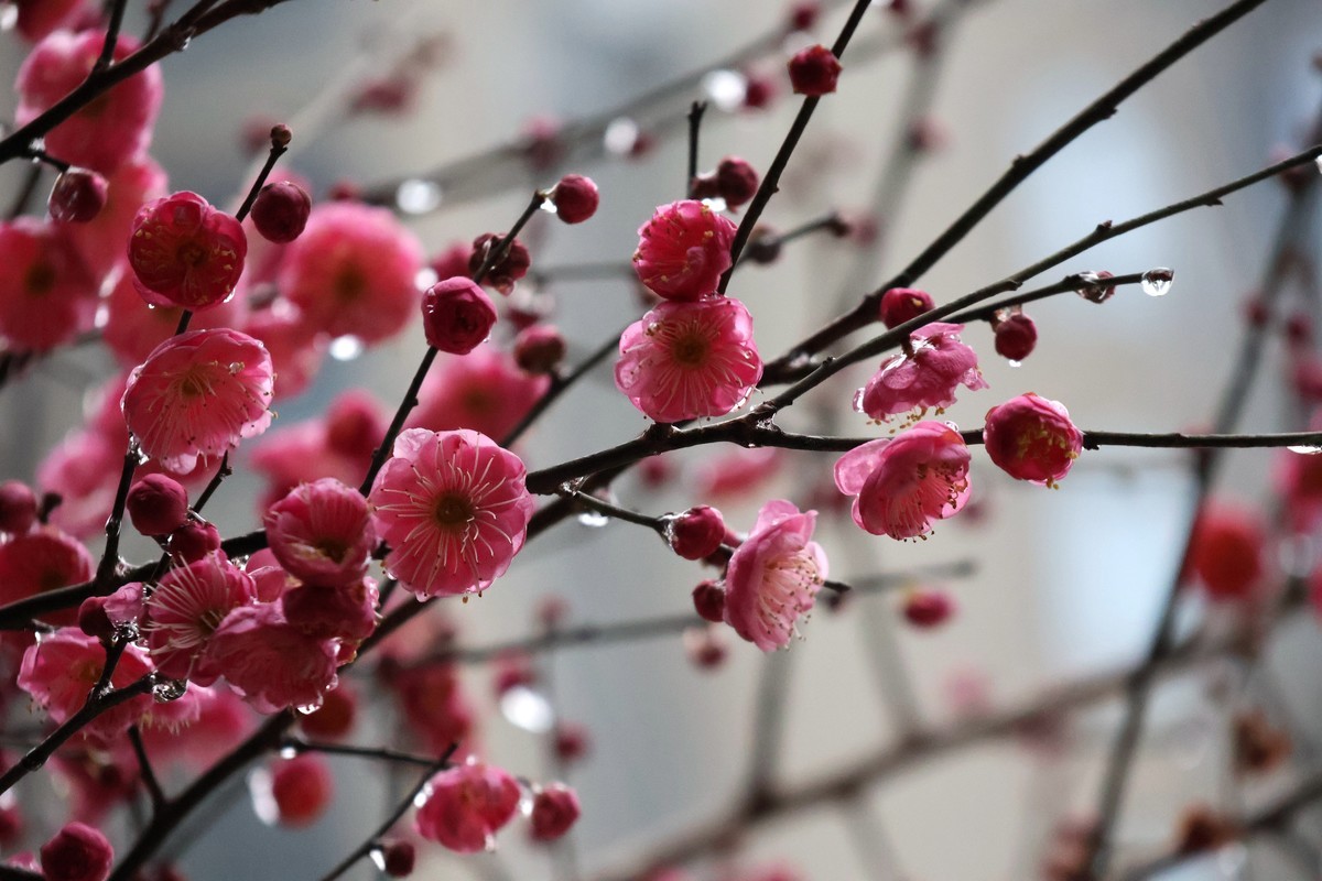 佳能R10套机镜头18-150试拍