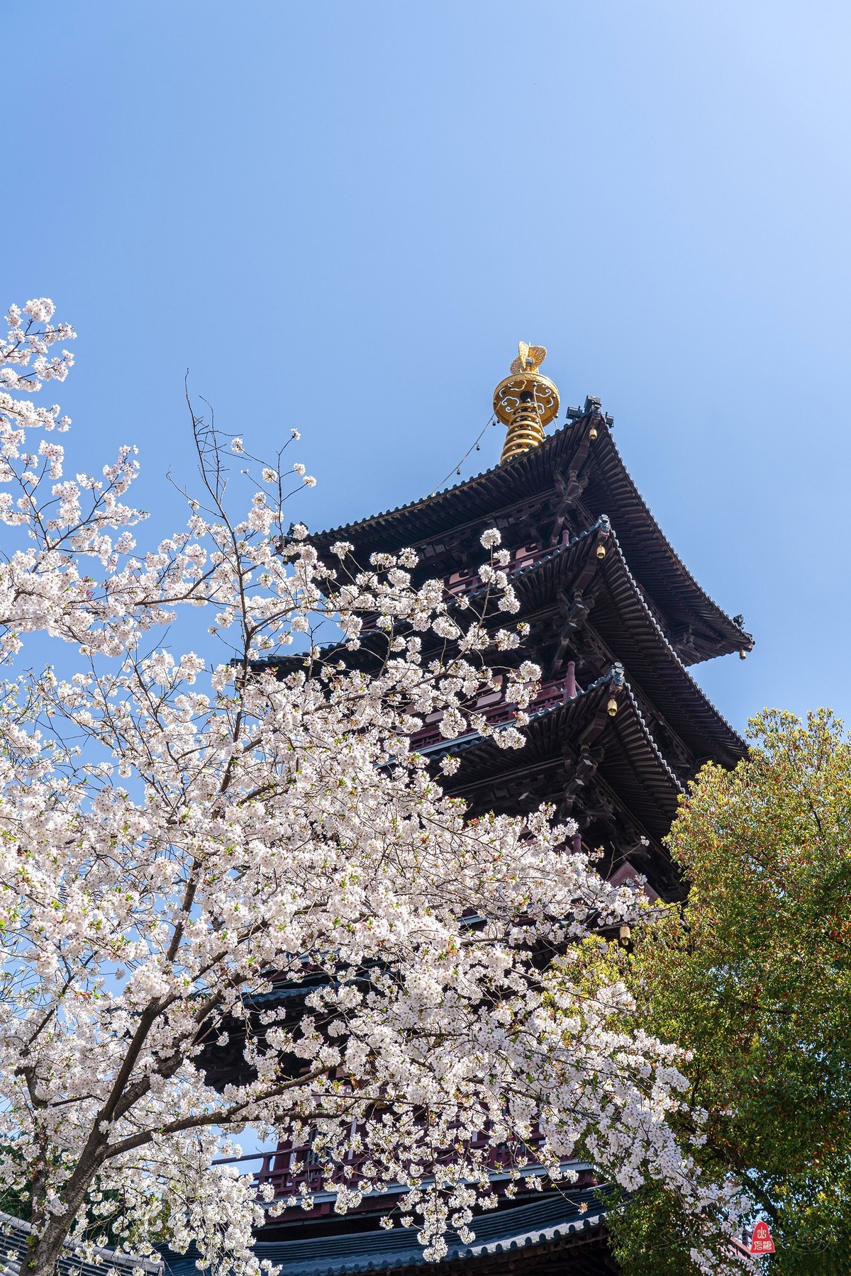枫桥景区（三）寒山寺普明宝塔