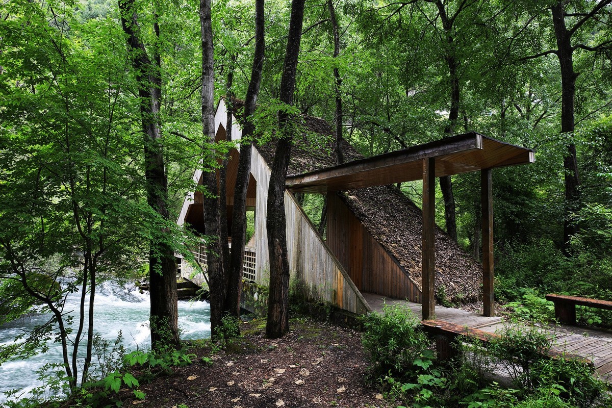 自驾松坪沟--那水.那树