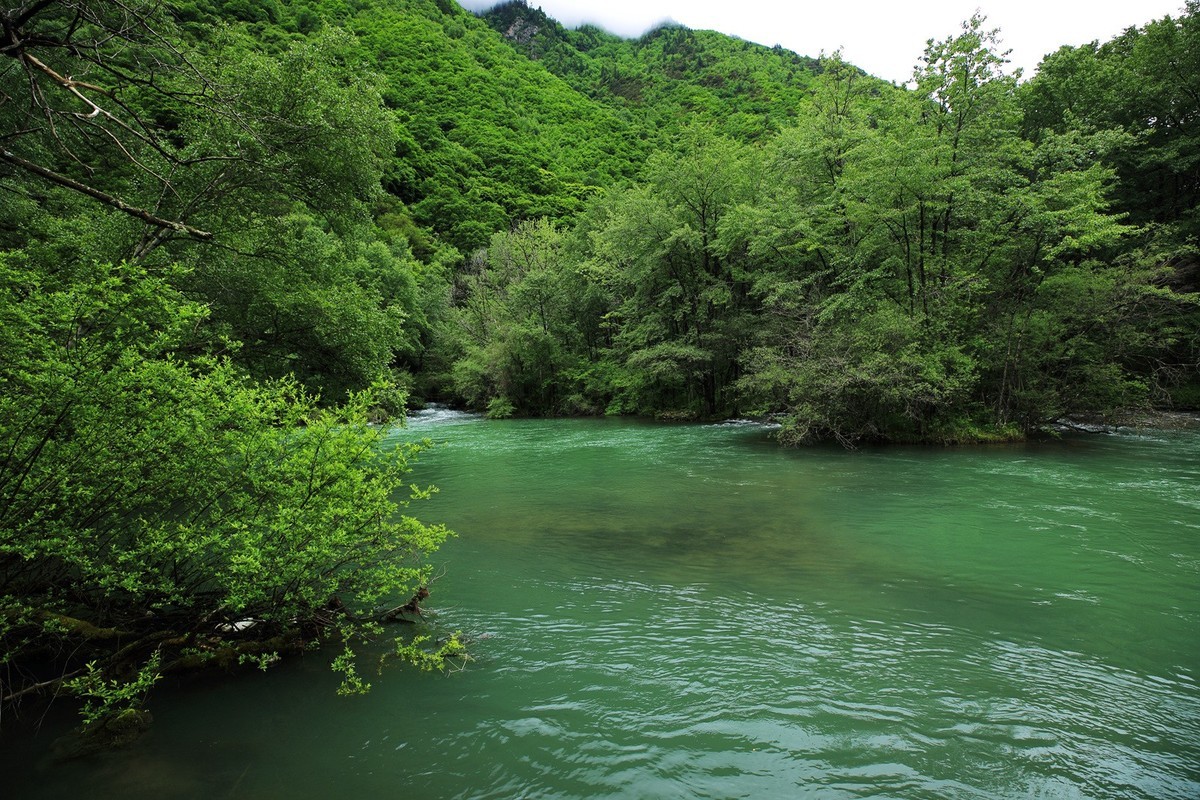 自驾松坪沟--那水.那树