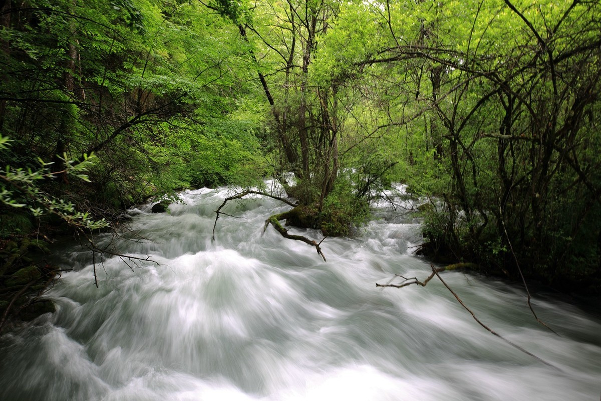 自驾松坪沟--那水.那树