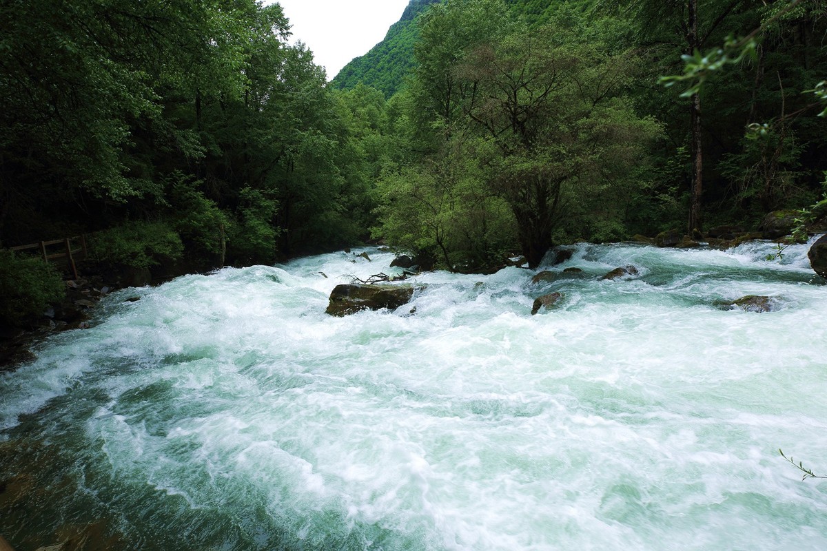 自驾松坪沟--那水.那树
