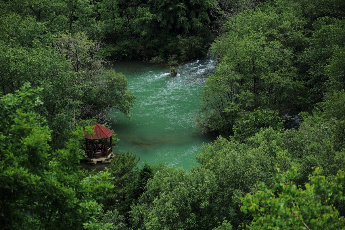 自驾松坪沟--那水.那树