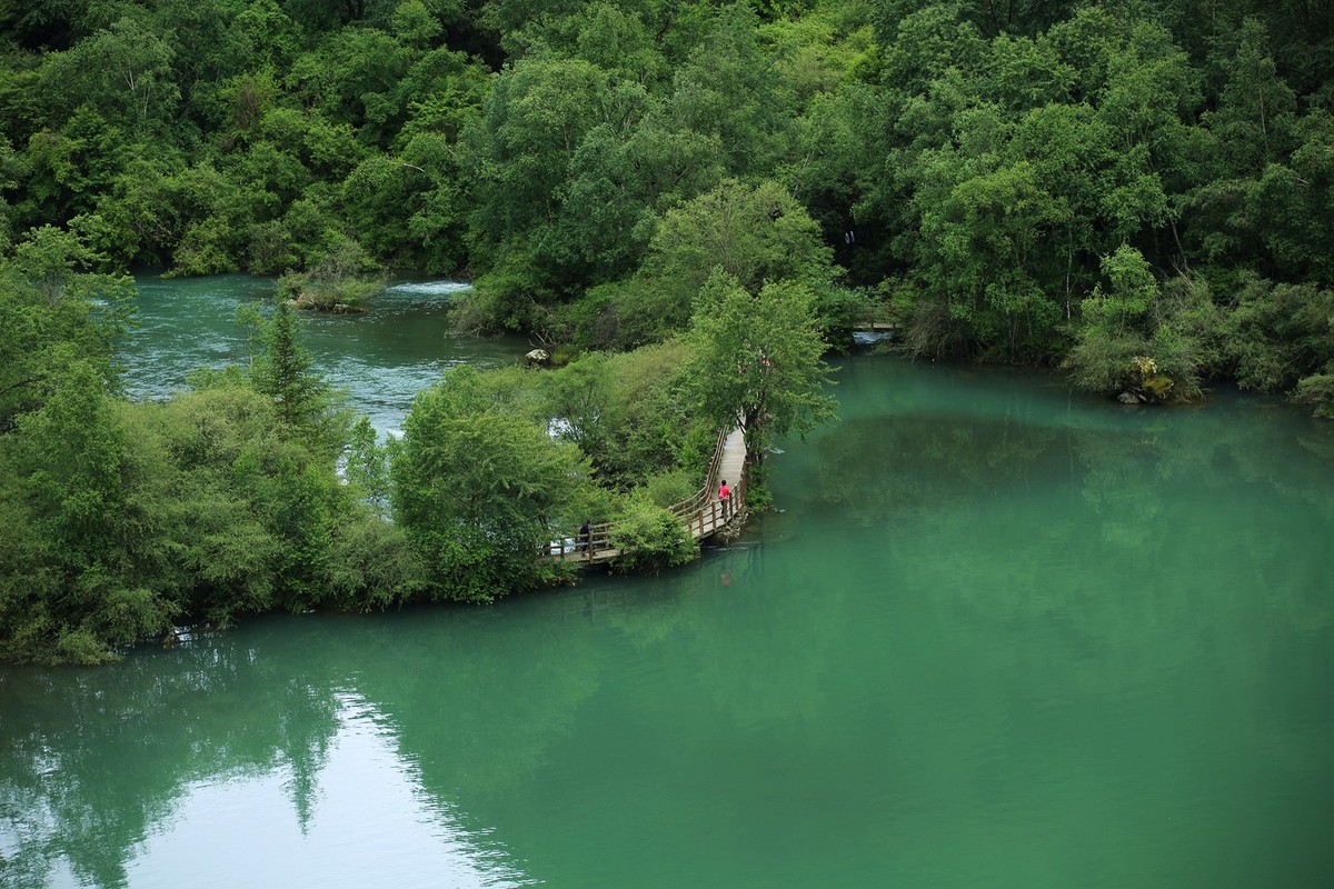 自驾松坪沟--那水.那树