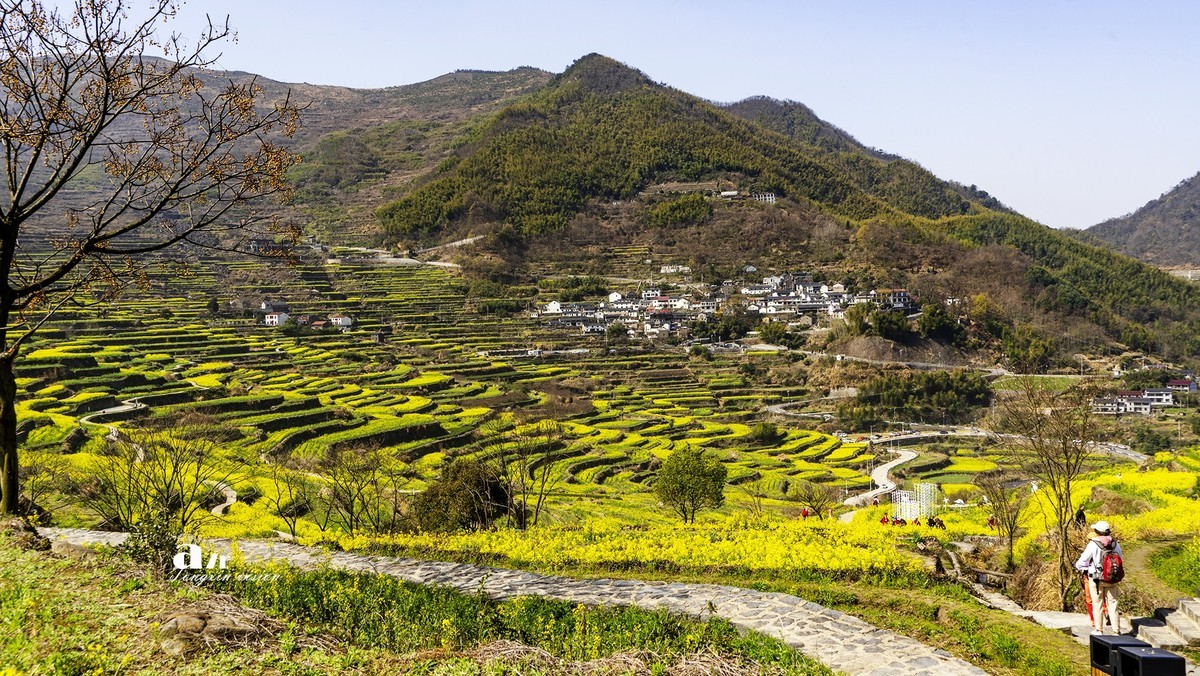 三月下江南——岭南覆卮山油菜花梯田（7）