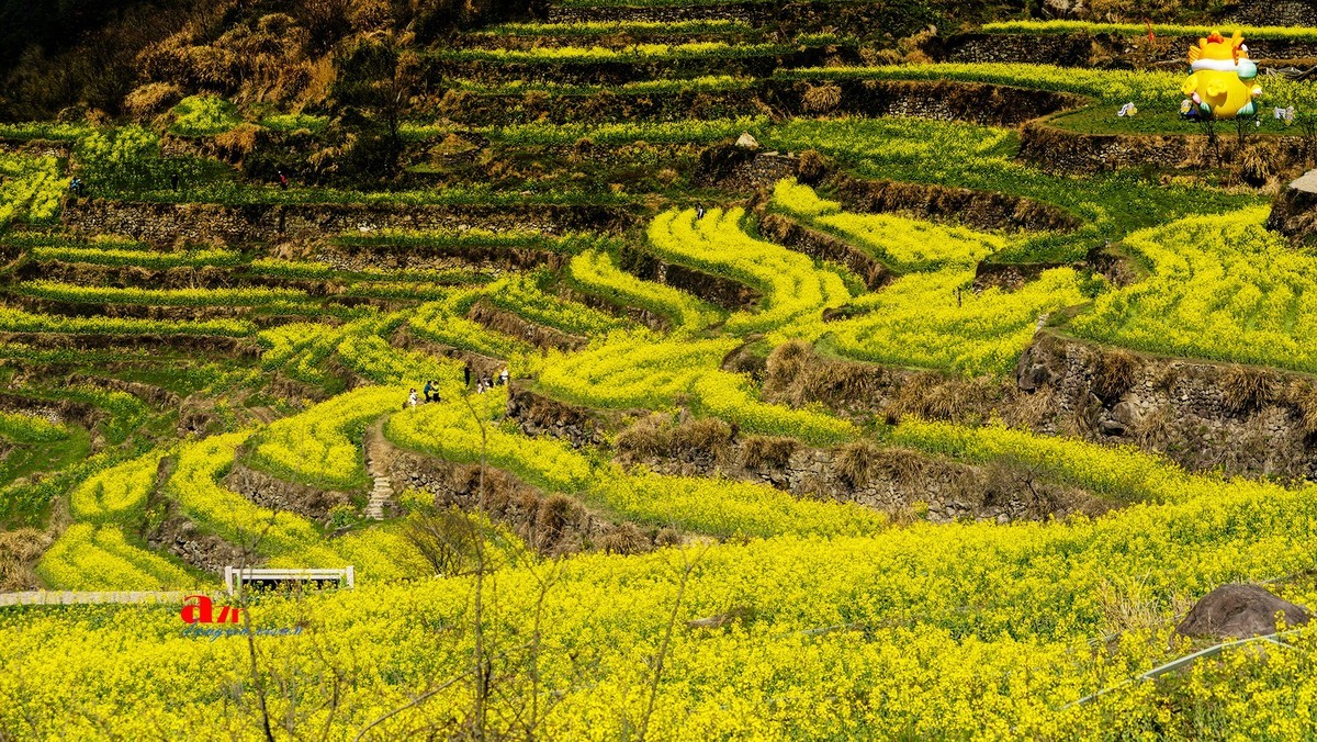 三月下江南——岭南覆卮山油菜花梯田（7）