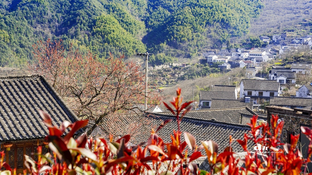 三月下江南——岭南覆卮山油菜花梯田（7）
