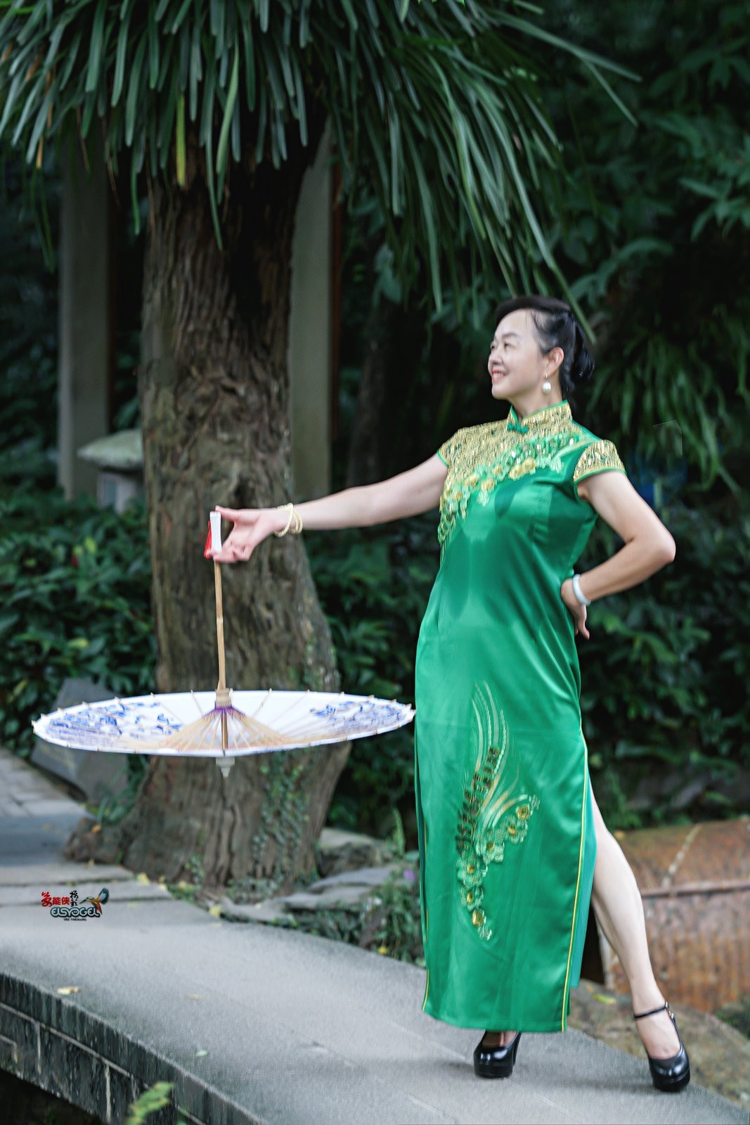 【兰圃一抹绿】---芹芹