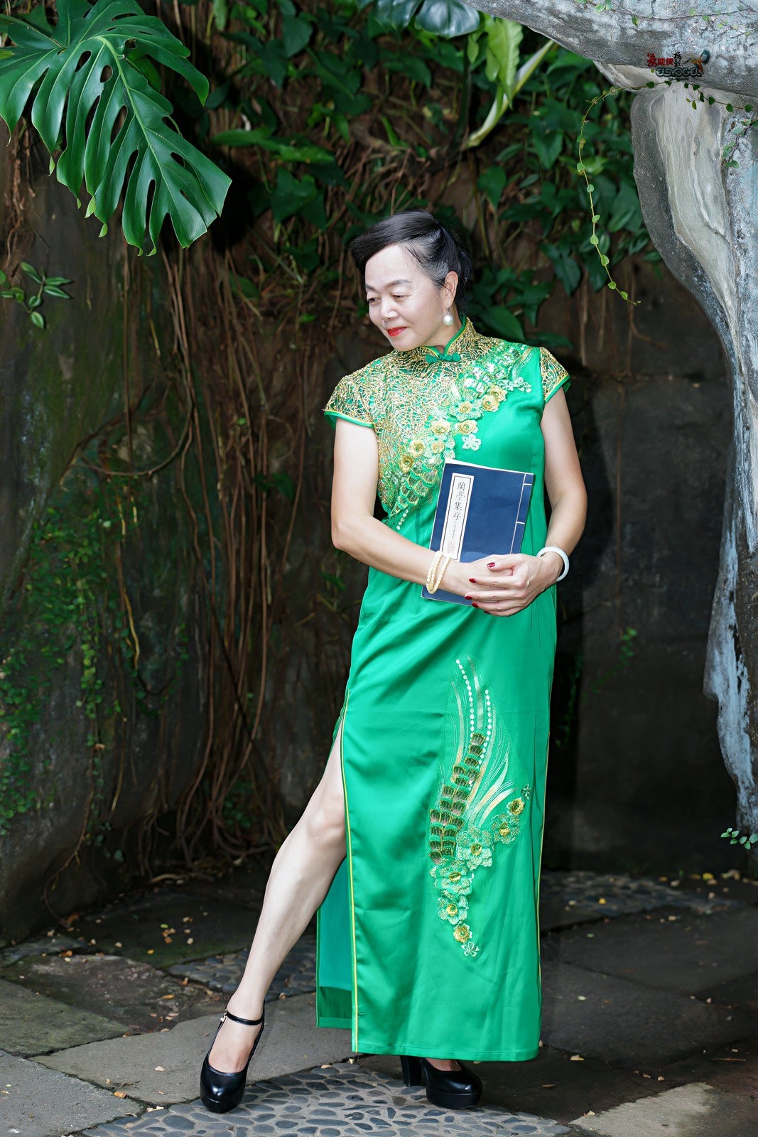 【兰圃一抹绿】---芹芹