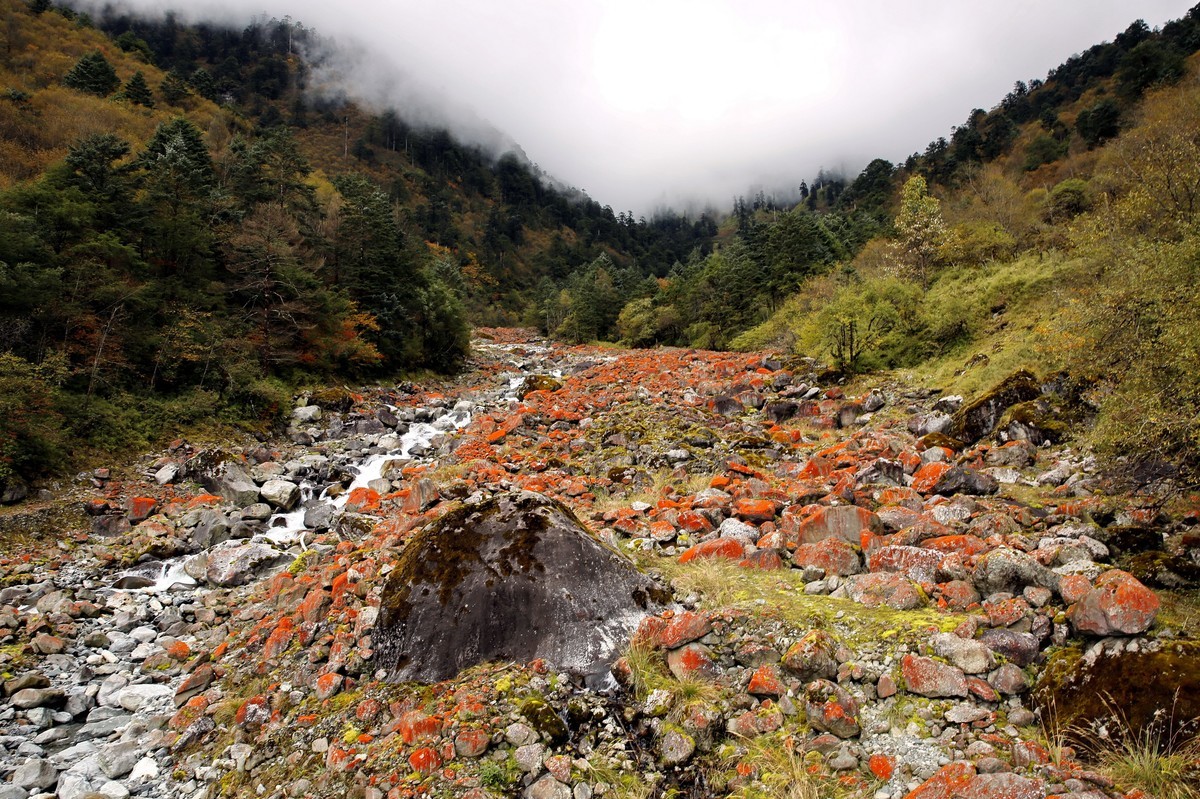川西特有的景色--红石滩