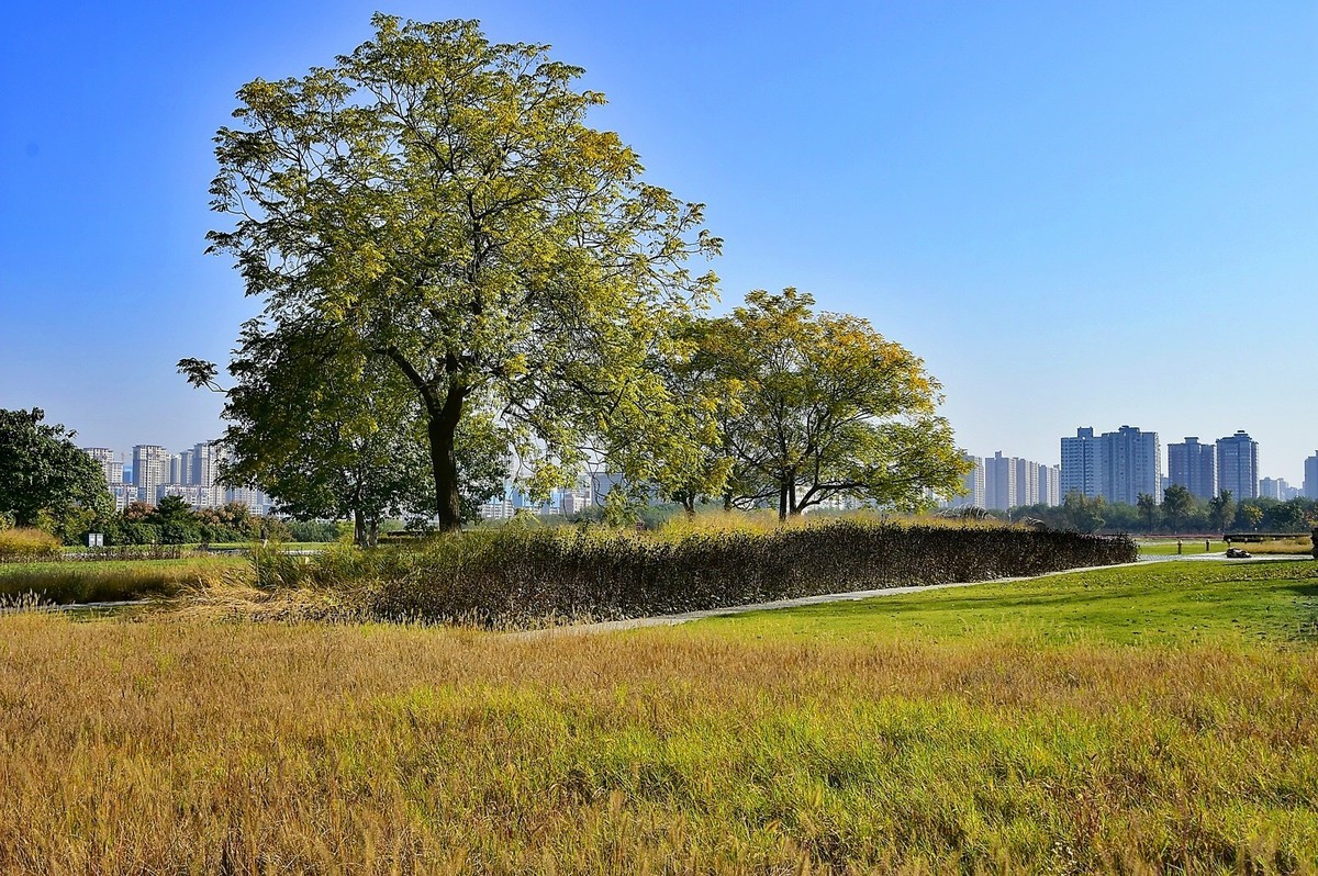 西安大明宫马球图雕像艺术