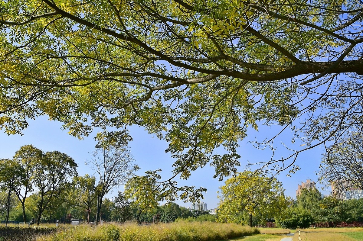 西安大明宫马球图雕像艺术