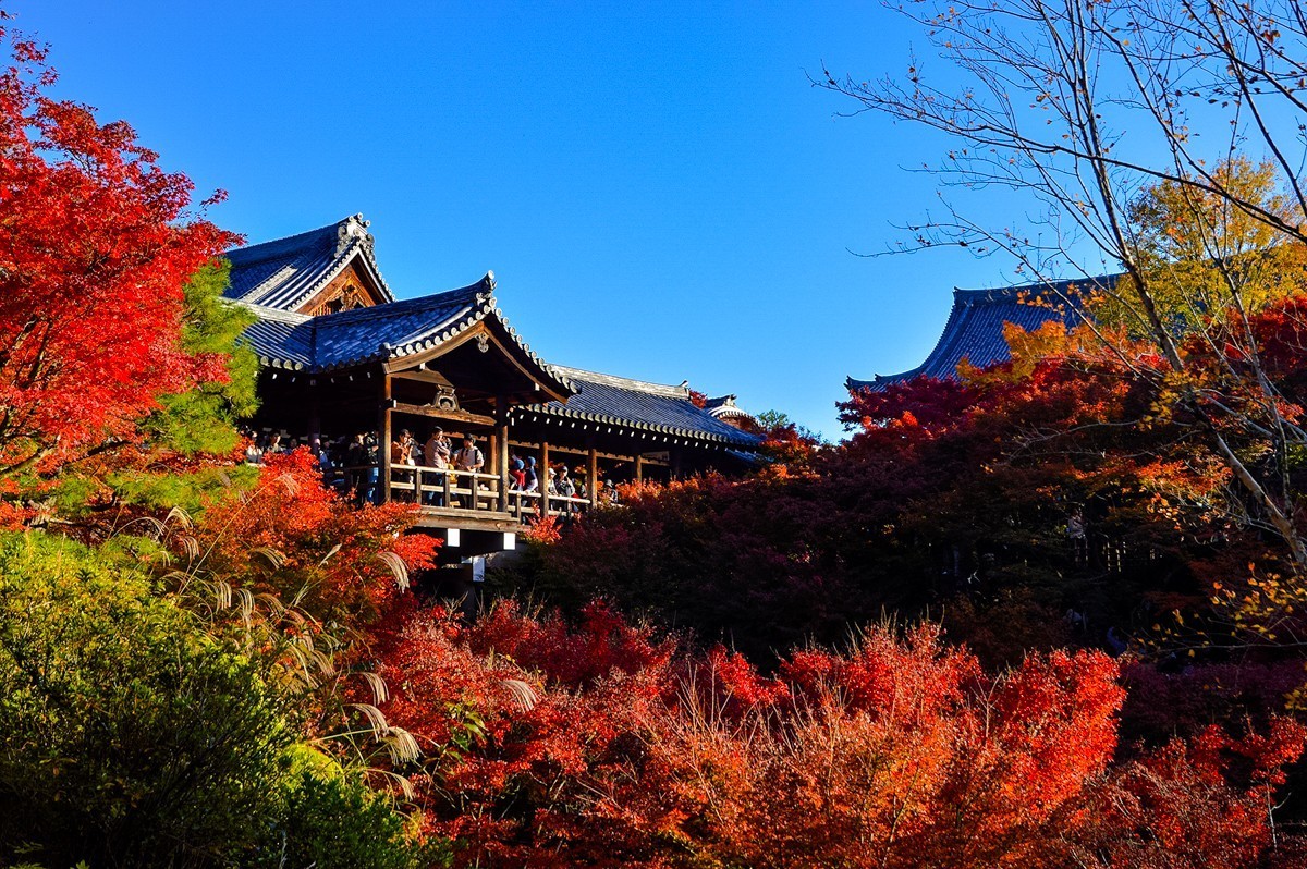 2019年京都东福寺红叶242