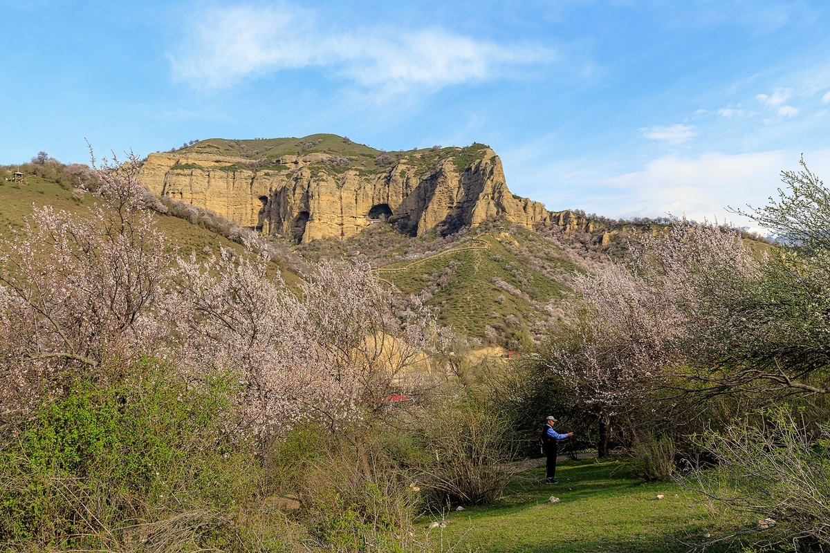 旅游记录：新疆 · 霍城 · 中华福寿山 · 大西沟杏花林（一）